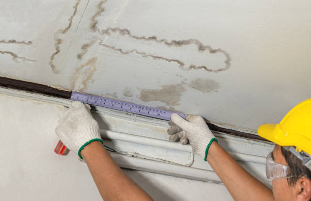 Affordable Ceiling Water Damage Repair solutions in Breckenridge, MN